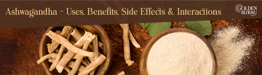Ashwagandha Featured Image Banner