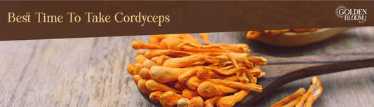 Best Time To Take Cordyceps