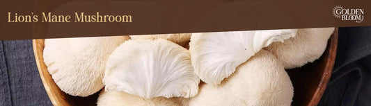 Lions Mane Mushroom Banner