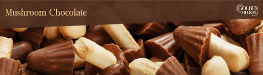 Mushroom Chocolate Banner