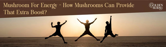 Medicinal Mushrooms And Energy