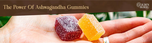 The Power Of Ashwagandha Gummies