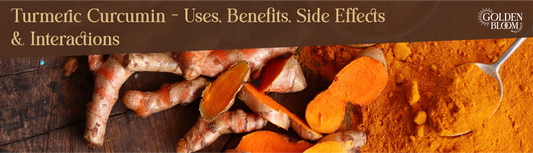 Turmeric Curcumin Featured Image Banner