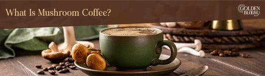 What Is Mushroom Coffee Banner
