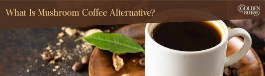 Mushroom Coffee Alternative Banner