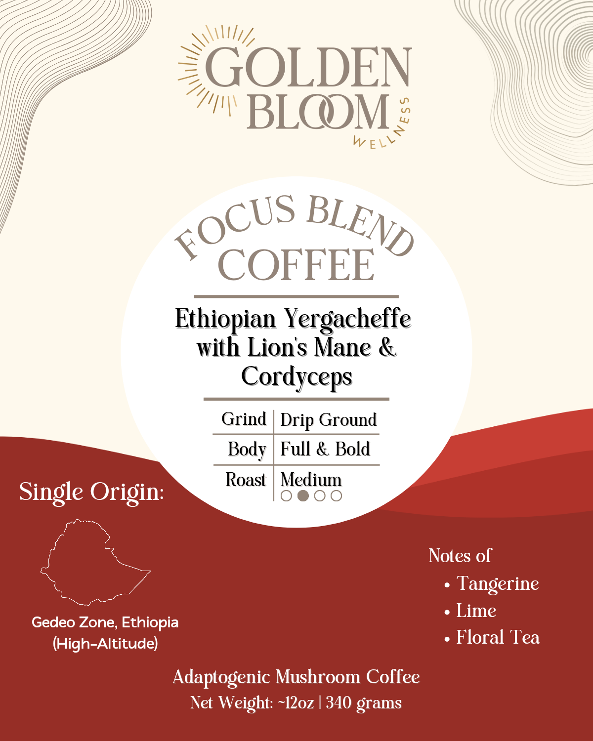 Organic Ethiopian Yergacheffe Medium Roast Coffee with Lions Mane Mushrooms