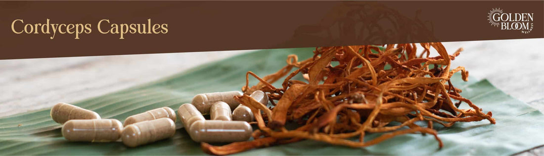 Cordyceps Capsules