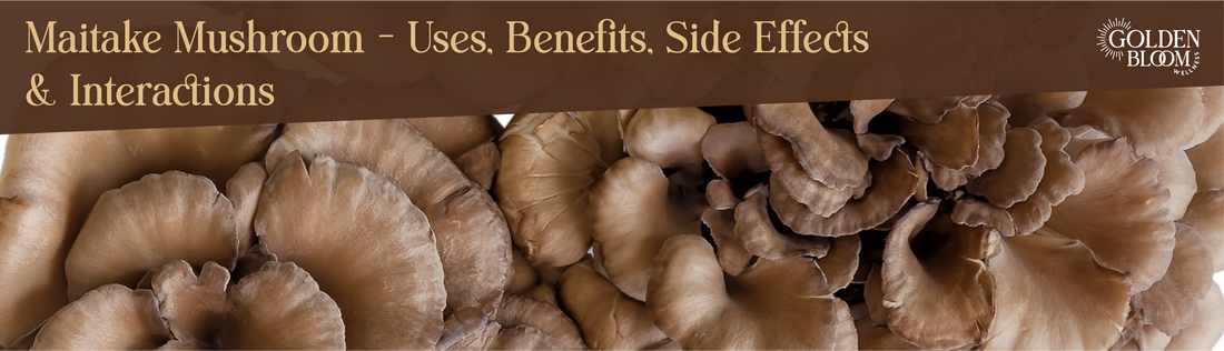 Maitake Mushroom Banner