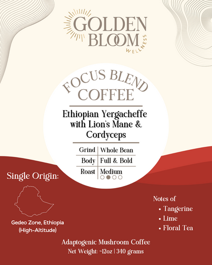Organic Ethiopian Yergacheffe Medium Roast Coffee with Lions Mane Mushrooms